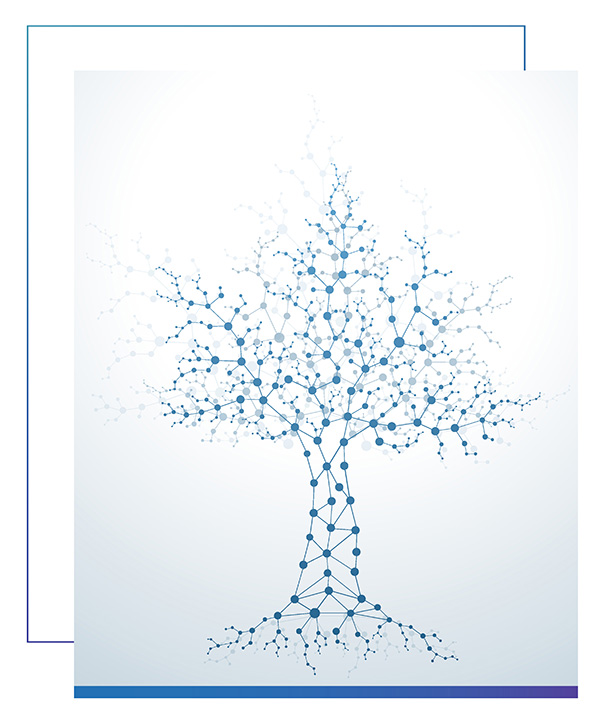 conseil-transformation-omnicanale