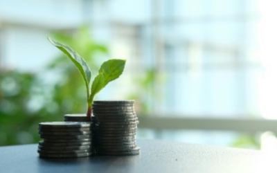 Sensibiliser à l’éco-conception, aux éco-contributions et aux retours sur investissement grâce aux éco-modulations chez Crossline